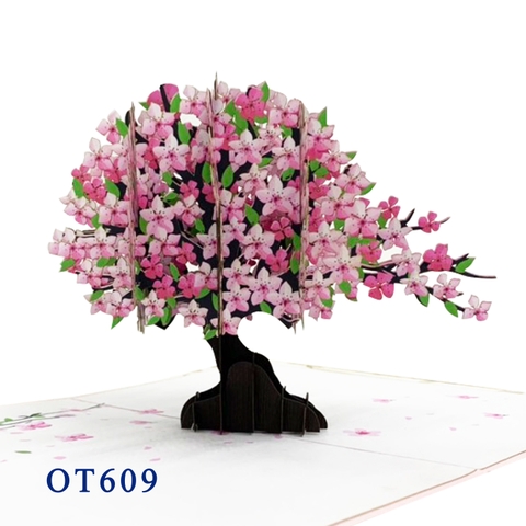 Cherry Blossom Pop Up Card