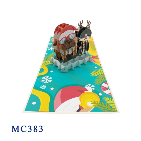Christmas Dog & Cat Pop Up Card
