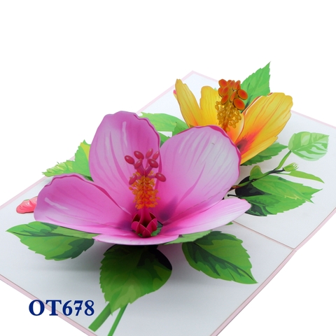 Colorful Hibiscus Pop Up Card