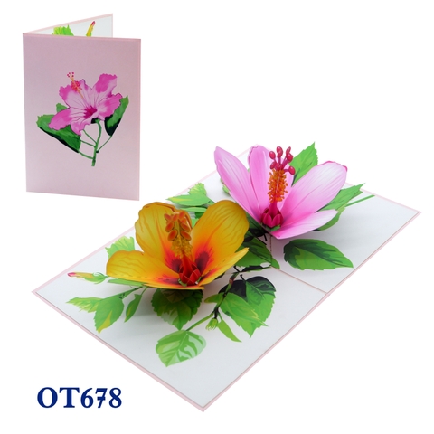 Colorful Hibiscus Pop Up Card