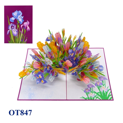 Colorful Iris Garden Pop Up Card