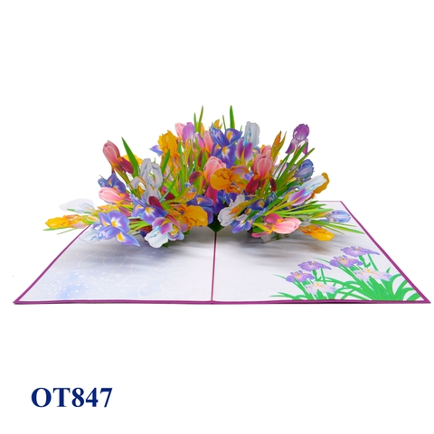 Colorful Iris Garden Pop Up Card