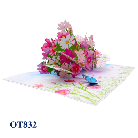 Cosmos Flowers Pop Up Card