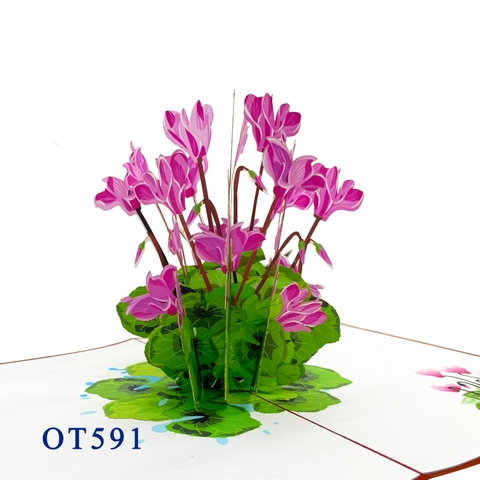 Cyclamen Flowers Pop Up Card