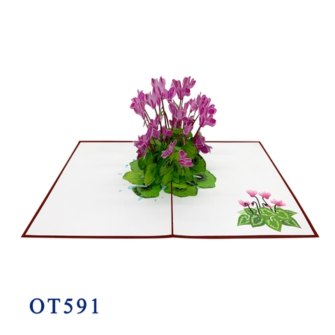 Cyclamen Flowers Pop Up Card
