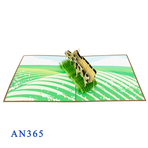 Dairy Cow Pop Up Card