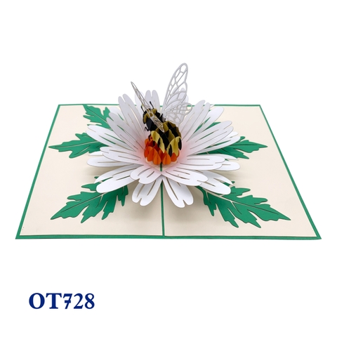 White Daisy & Bee Pop Up Card