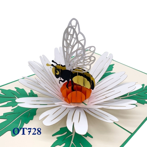 White Daisy & Bee Pop Up Card