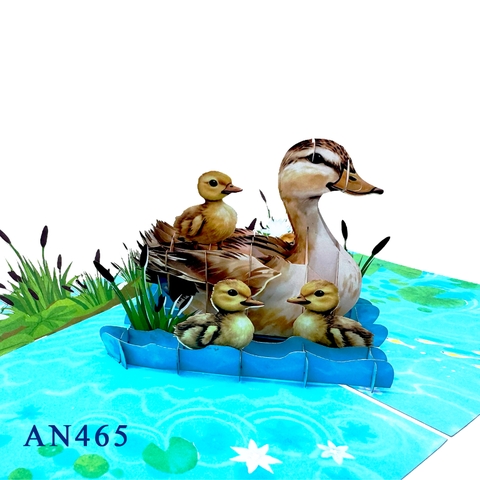 Duck Family Pop Up Card
