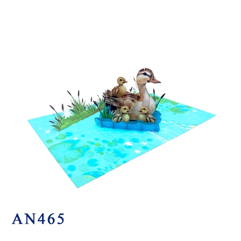 Duck Family Pop Up Card