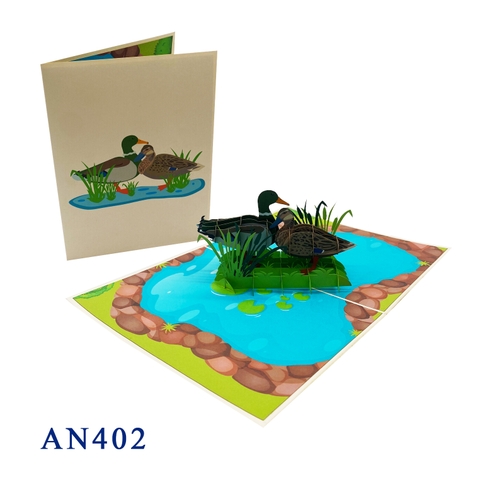 Mallard Ducks Pop Up Card