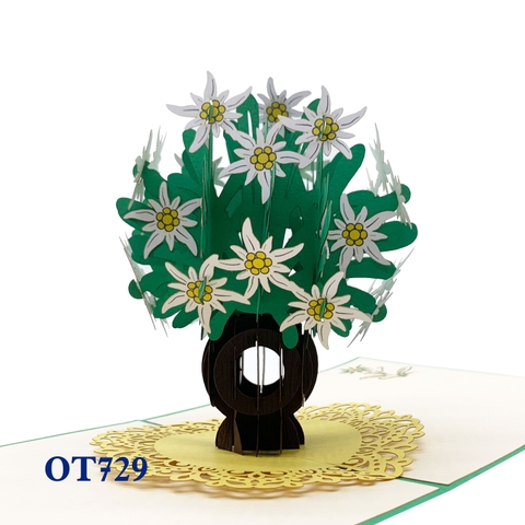 Edelweiss Pot Pop Up Card