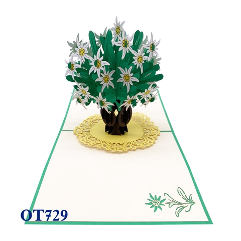 Edelweiss Pot Pop Up Card