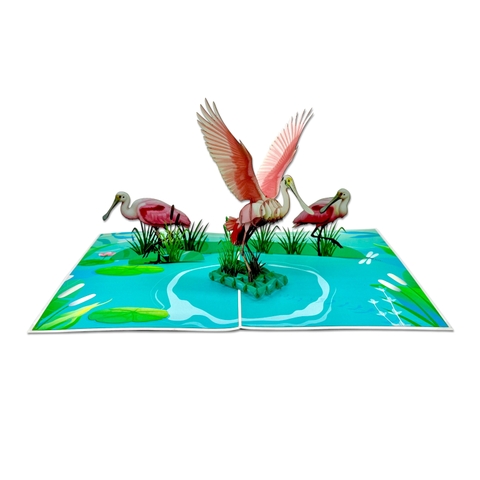 Florida Spoonbill Pop-up Card