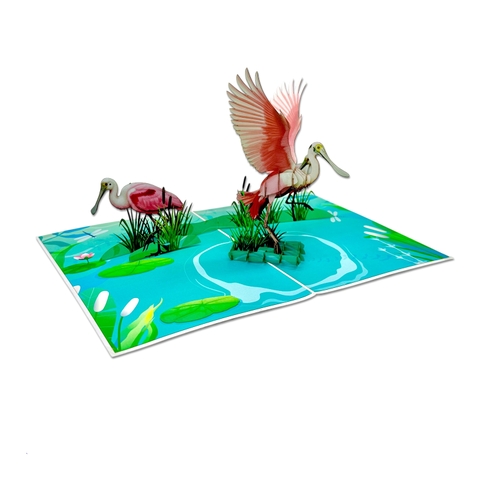 Florida Spoonbill Pop-up Card