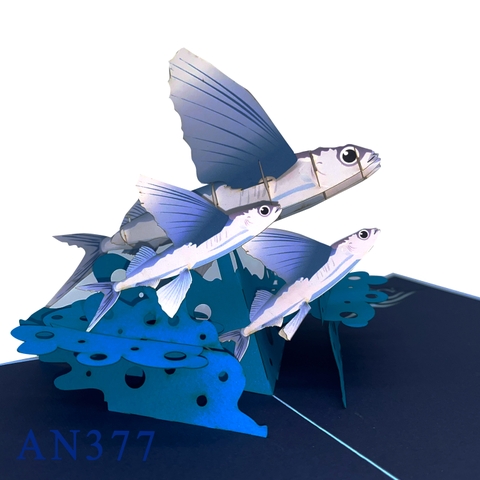 Flying Fish Pop Up Card