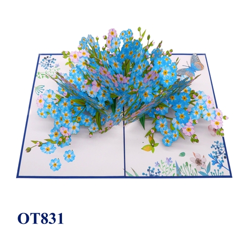 Forget Me Not Flowers Pop Up Card