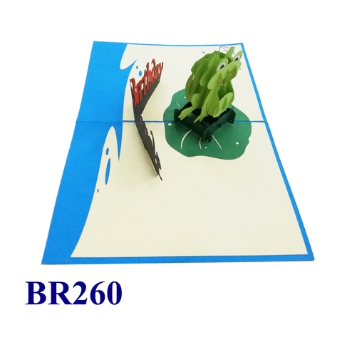 Birthday Frog Pop Up Card