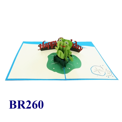 Birthday Frog Pop Up Card
