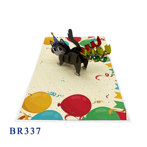 Funny Kitten Birthday Pop Up Card