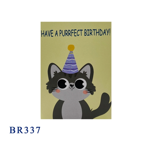 Funny Kitten Birthday Pop Up Card