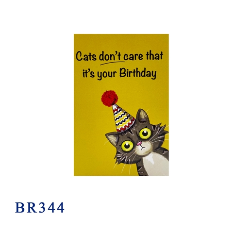 Funny Cat Birthday Pop Up Card