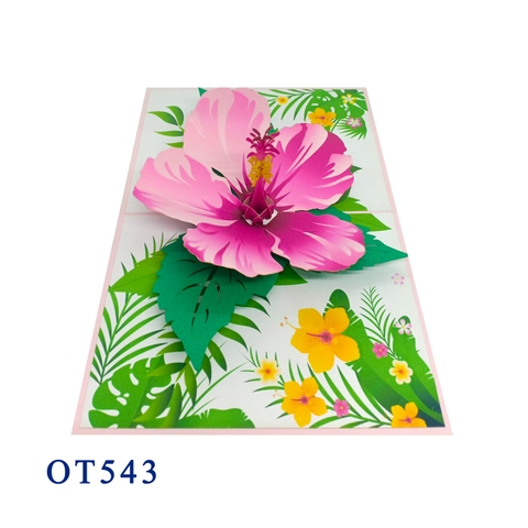 Hibiscus Bloom Pop Up Card