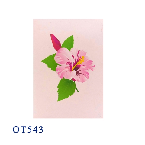 Hibiscus Bloom Pop Up Card