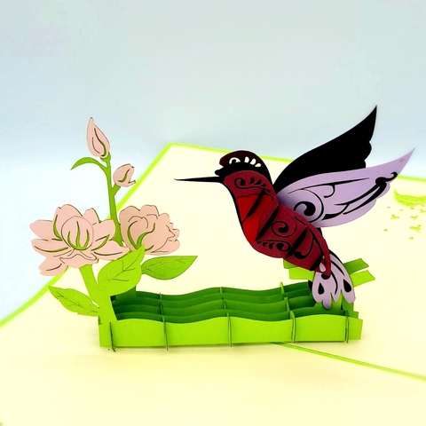 Humming Bird Pop Up Card