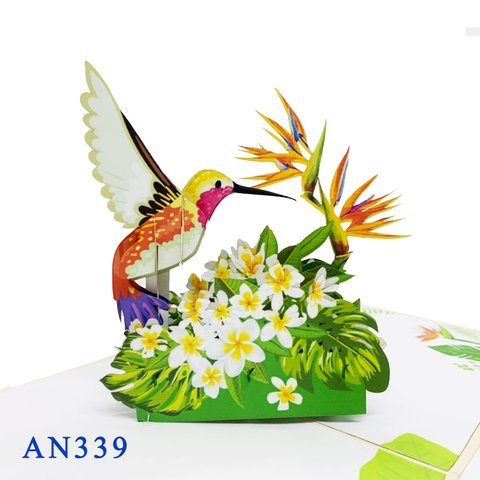 Humming Bird Pop Up Card