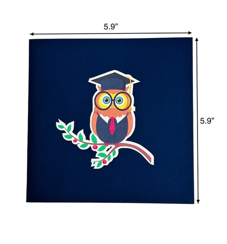 Graduated Owl Pop Up Card