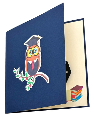 Graduated Owl Pop Up Card