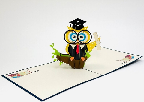 Graduated Owl Pop Up Card