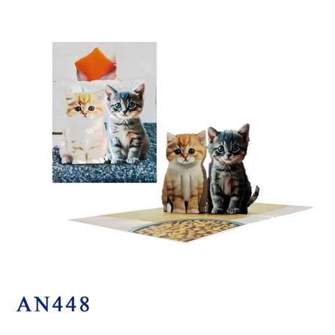 Kittens 3D Pop Up Greeting Card