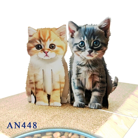 Kittens 3D Pop Up Greeting Card