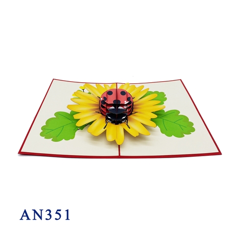 Ladybug Pop Up Card