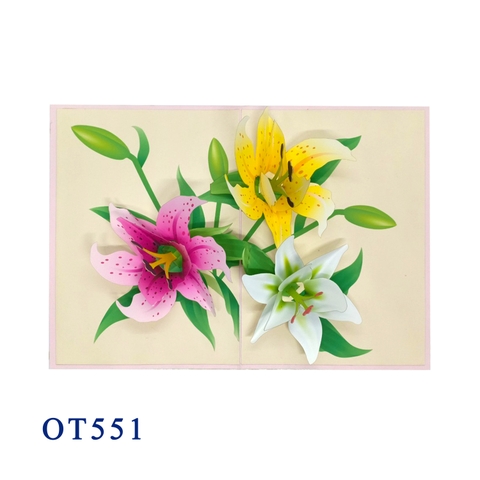 Lily Bloom Pop Up Card