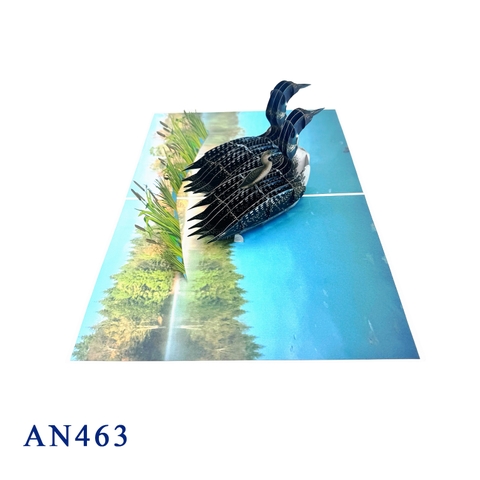 Loon Family 3D Pop-up Greeting Card