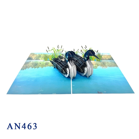 Loon Family 3D Pop-up Greeting Card