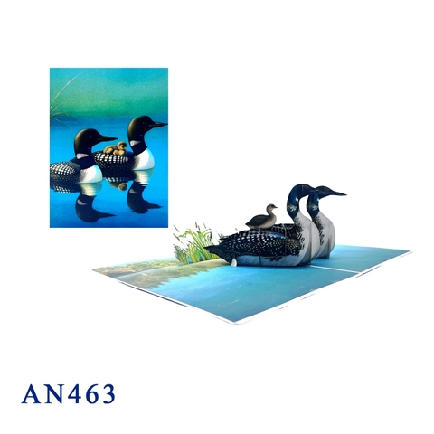 Loon Family 3D Pop-up Greeting Card