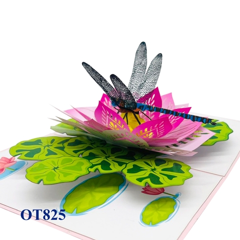 Lotus Dragonfly Pop Up Card