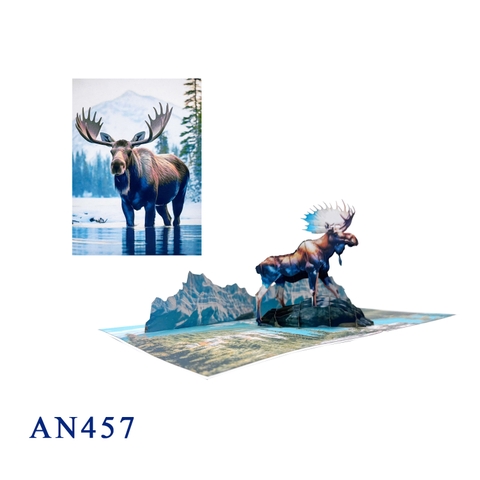 Moose 3D Pop-up Card