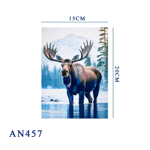 Moose 3D Pop-up Card