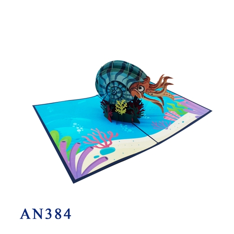 Nautilus Pompilius Pop Up Card
