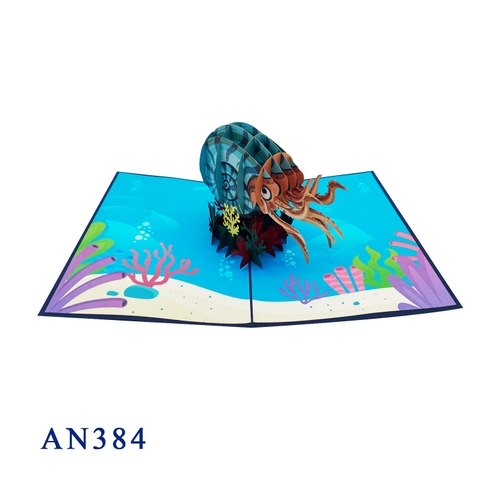 Nautilus Pompilius Pop Up Card