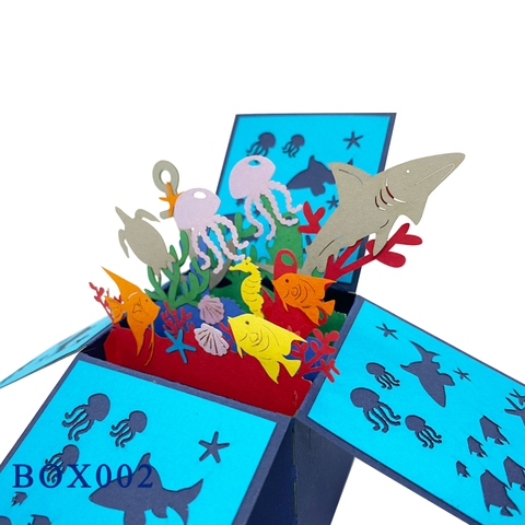 Ocean Pop Up Box