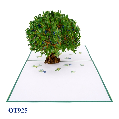 Olive Tree Pop Up Card
