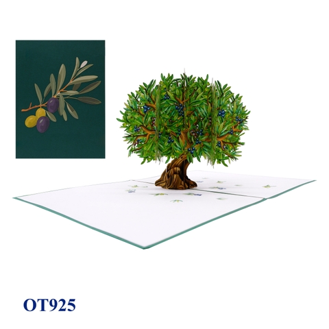 Olive Tree Pop Up Card
