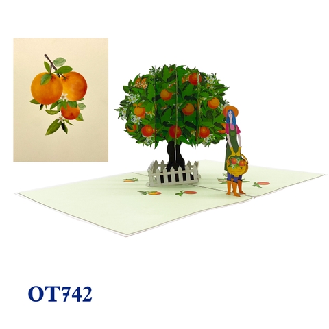 Orange Tree Pop Up Card