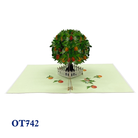 Orange Tree Pop Up Card